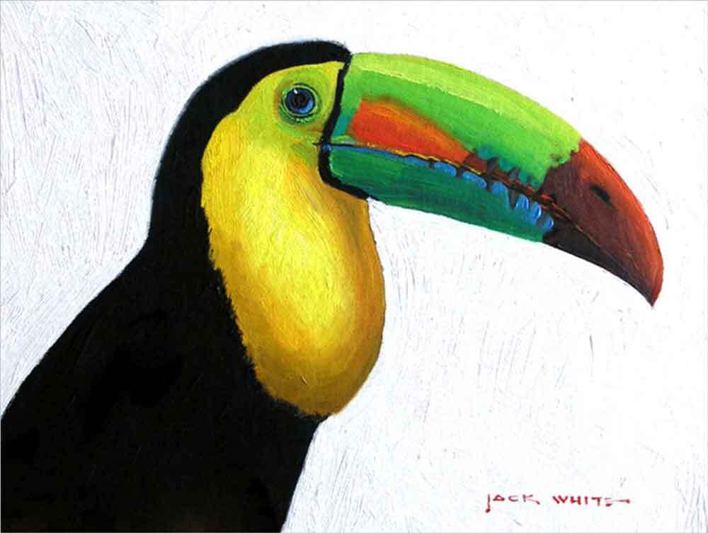 Toucan Bird Accent & Decor Tile Jack White Tropical Art JWA033AT