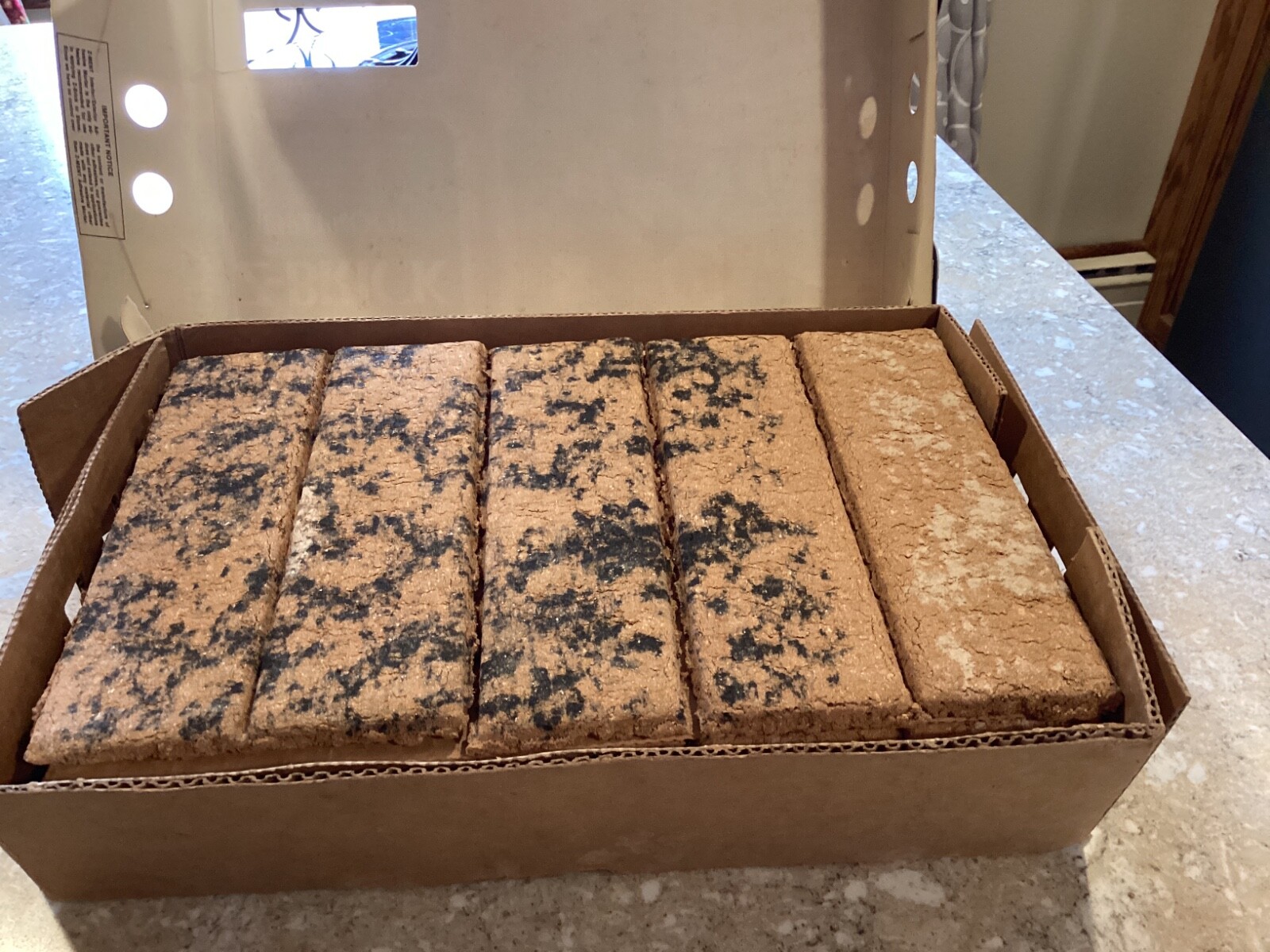 Vintage INCA Antique Standard Old Chicago Facing Brick Z-Brick 25 Bricks