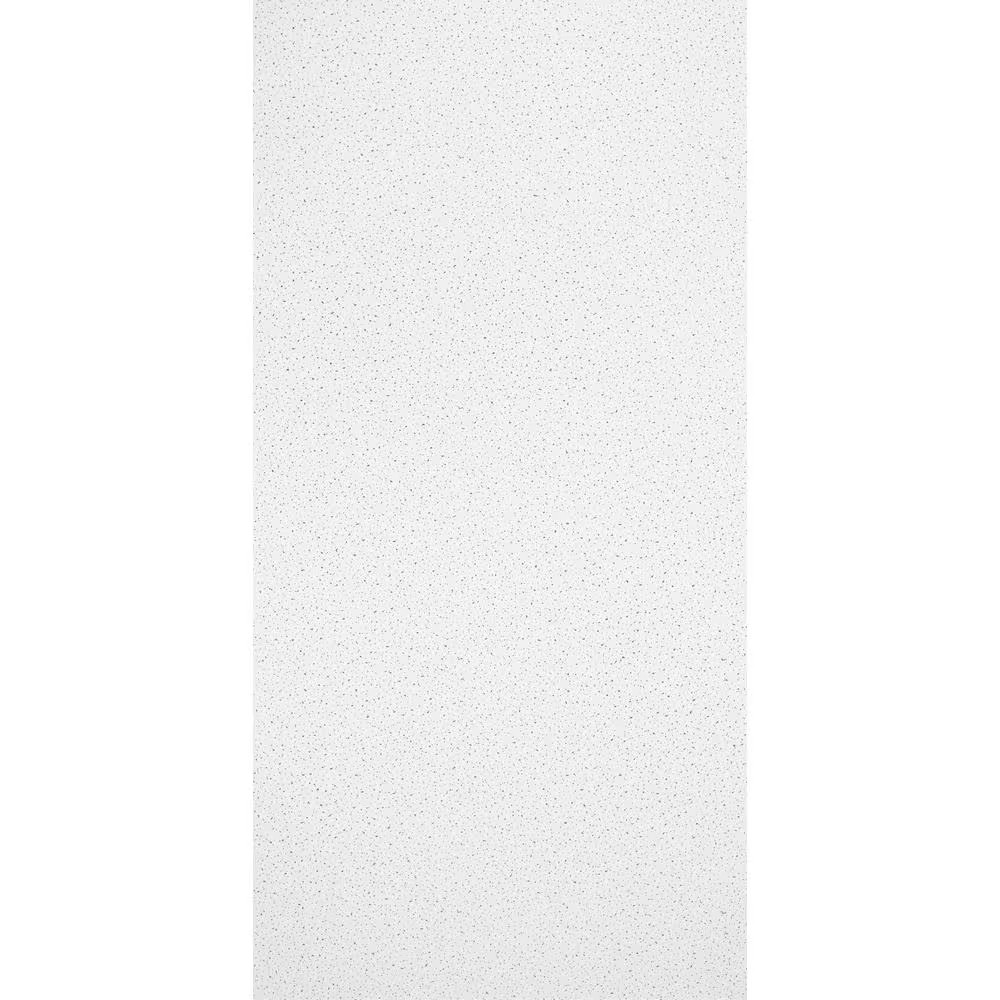 Fine Fissured 2 Ft. X 4 Ft. Lay-In Ceiling Tile (32 Sq. Ft. / Case)
