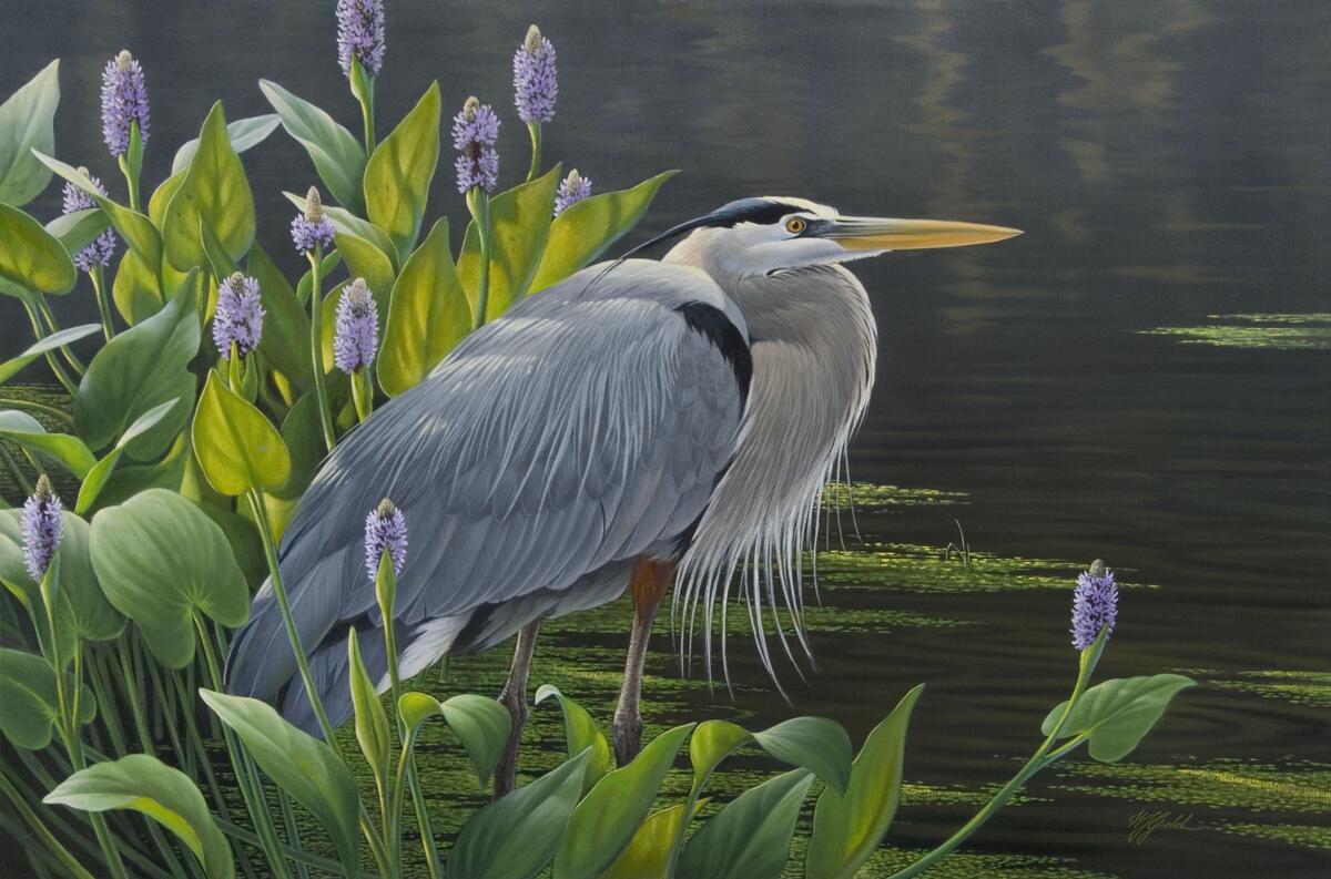 Ceramic Backsplash Tile Mural Waterfowl Bird – Biding Time Great Blue Heron