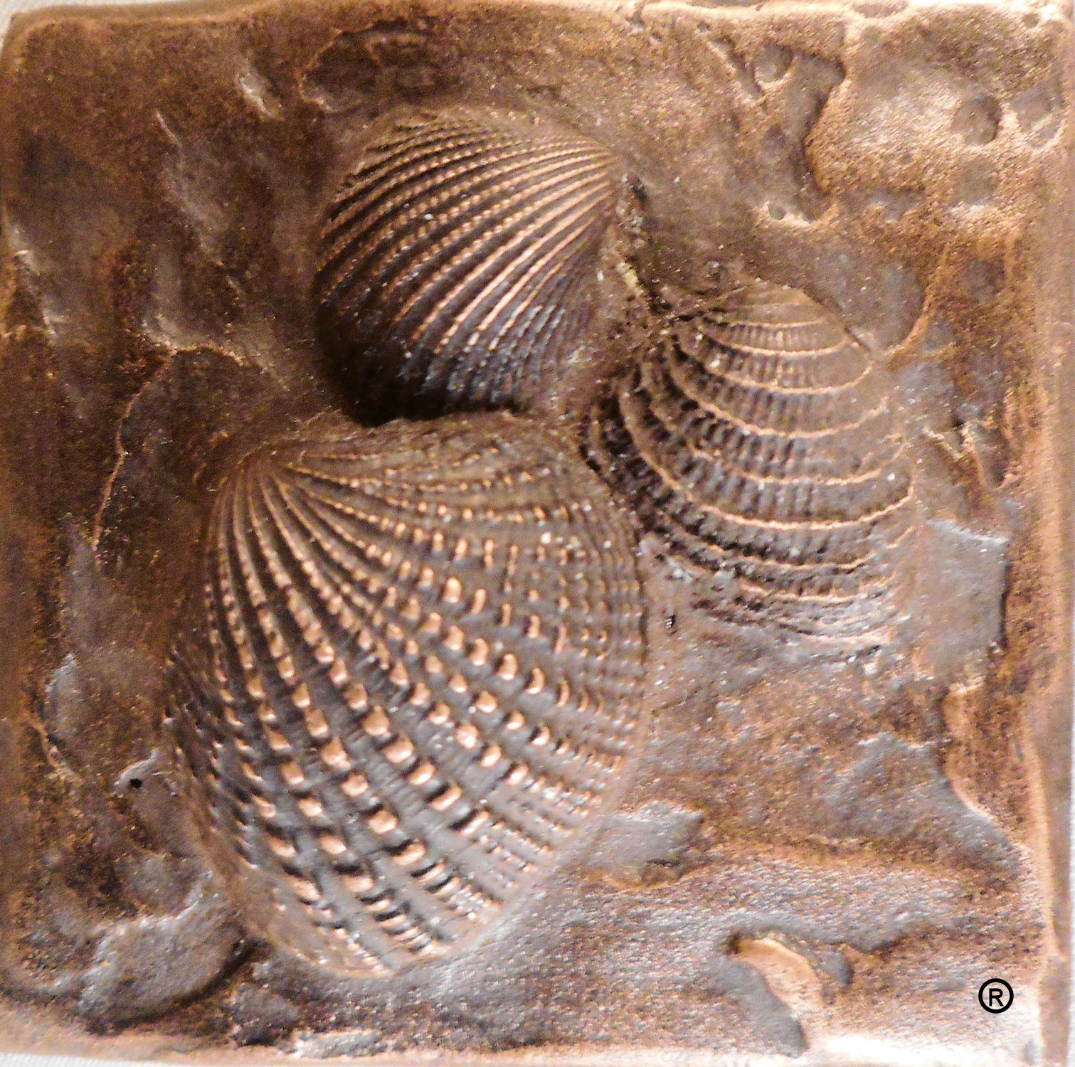 Bronze Sea Shells #2 Decorative Dot Tile by Metal Tile Arts Manufacturing
