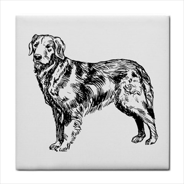 Dogs Ceramic Tile Set Of 16 Backsplash 4.25″ Tiles Home Decor Dog Breed Art