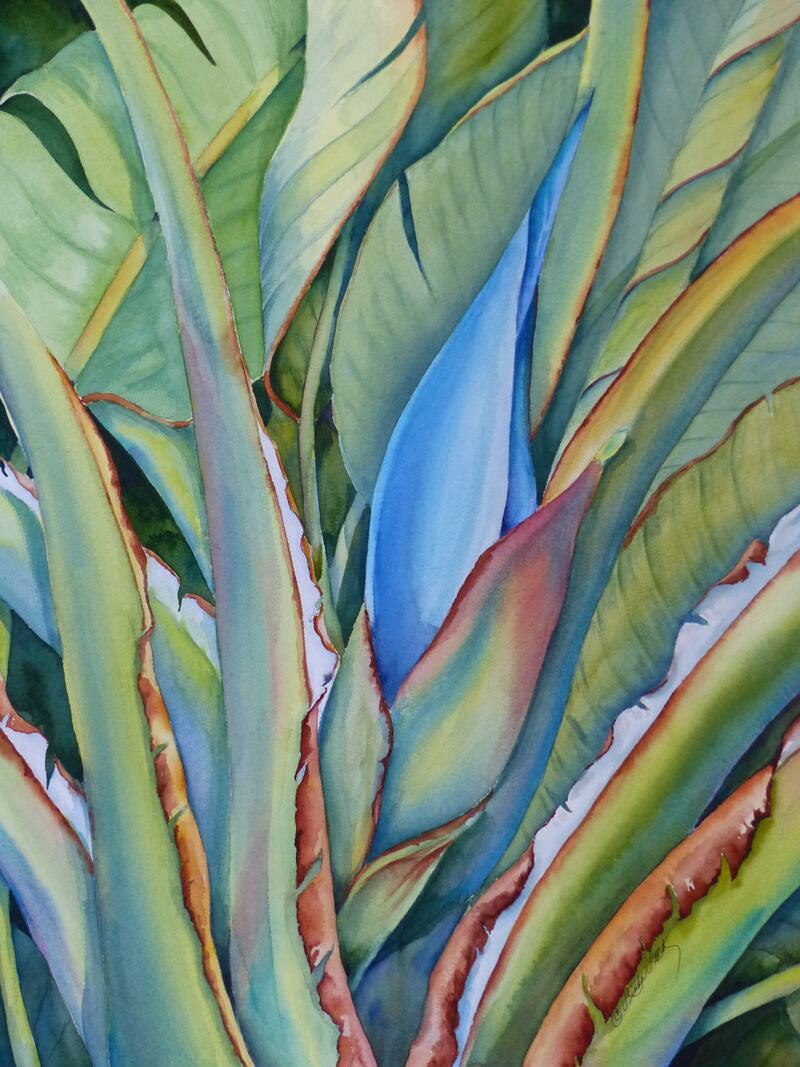 Ceramic Backsplash Tile Mural Floral Kitchen/Bathroom – Close up Tropical