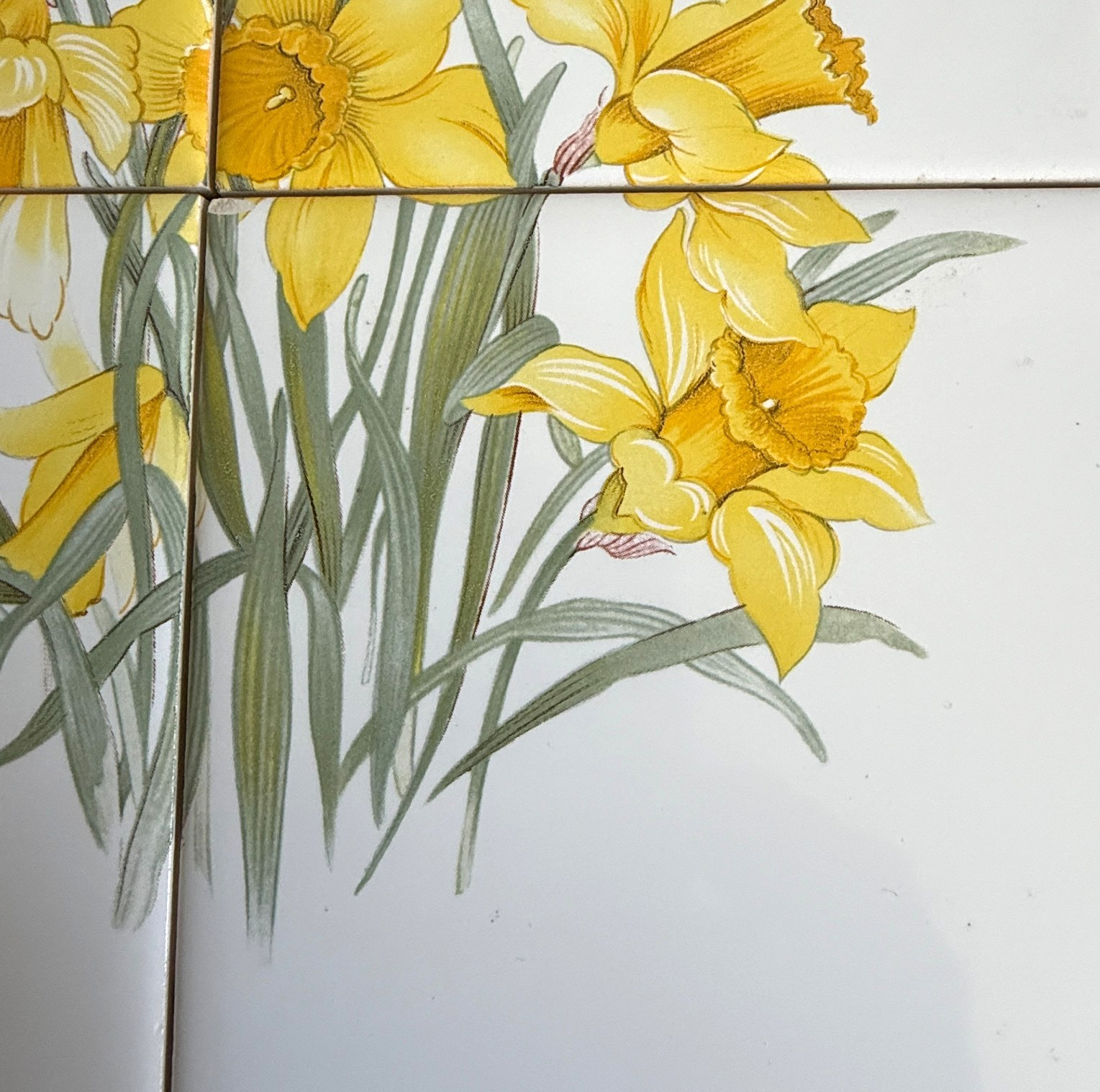 Vintage Yellow Daffodils Tile Mural Set 4 on White USA Wildflower Garden