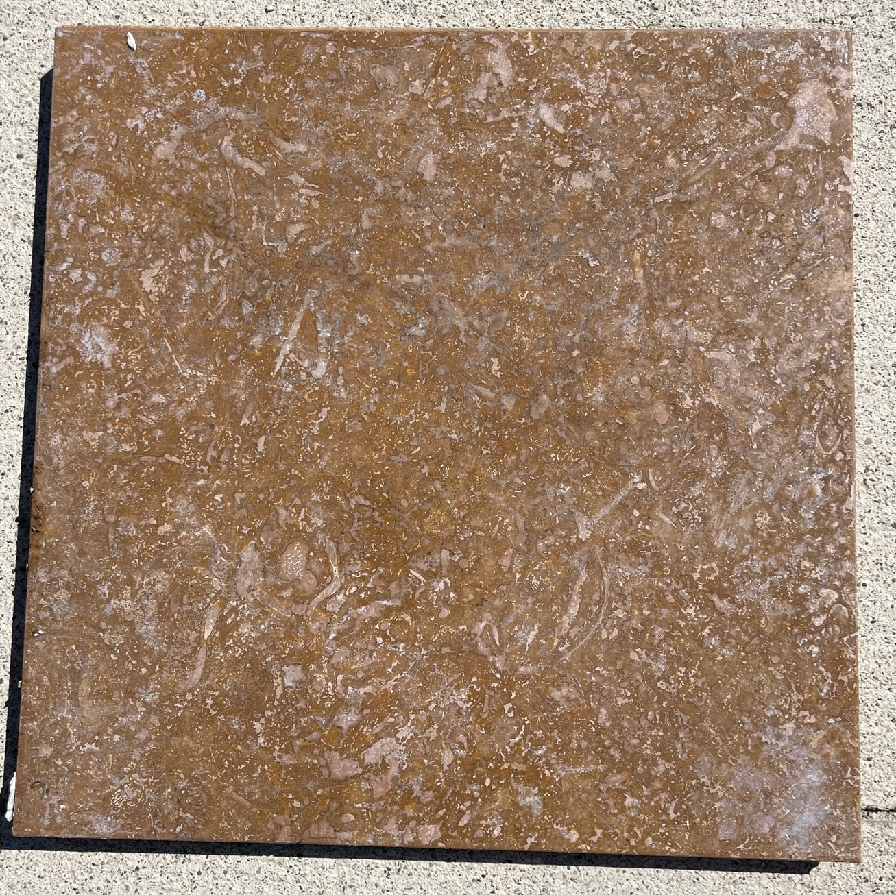 Chocolate Brown 12×12 Tile Marble Stone Floor Wall Remodel crate 200 SQ FT T-27B