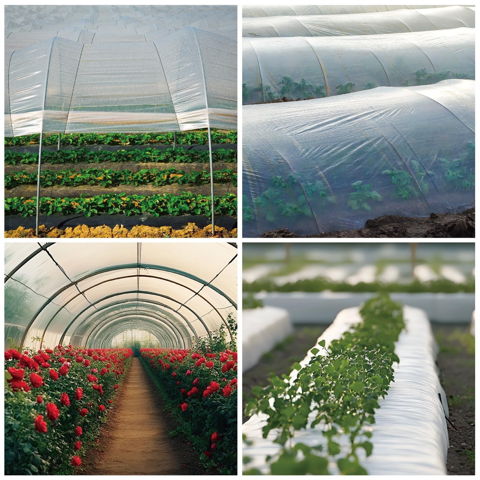 Greenhouse Plastic Sheeting 12 x 25ft – 6 Mil Clear Polyethylene Film, UV Res…