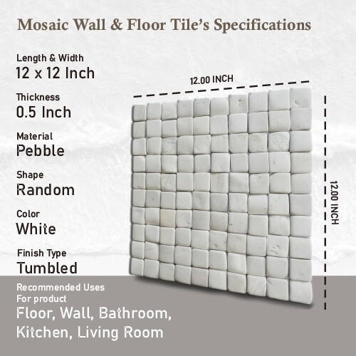 Molar 3 White Natural Stone Mosaic Wall & Floor Tile ($16.34/SqFt)