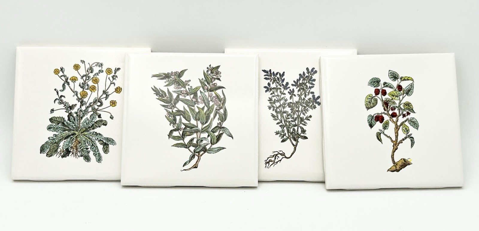 Vintage Floral Tile Mid-State/Mannington MCT 4 3/8″ White Plant Accent Set Of 4
