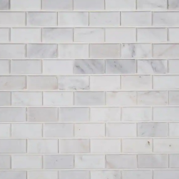 MSI Arabescato Carrara 11.81 in Honed Marble Look Floor and Wall Tile Sheet