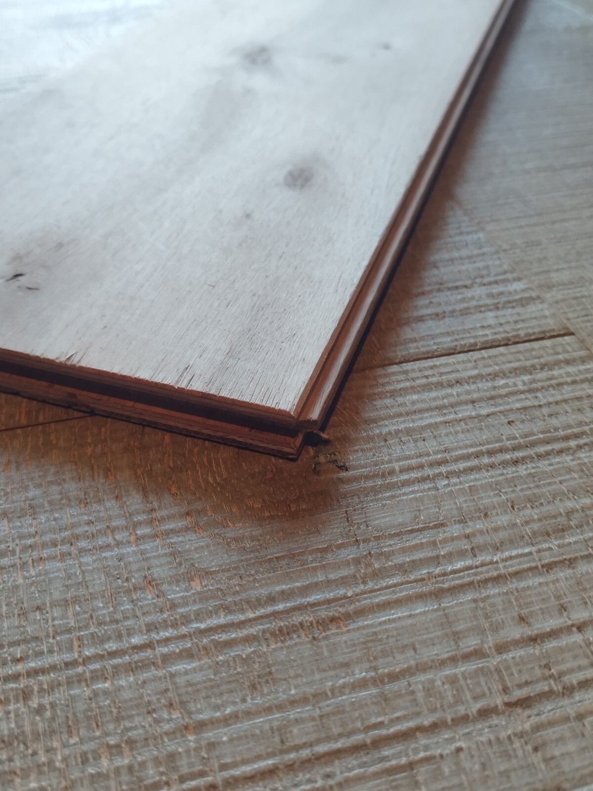 White Oak Prefinished Engineered Flooring 5/8″ x 7 1/2” SAMPLE