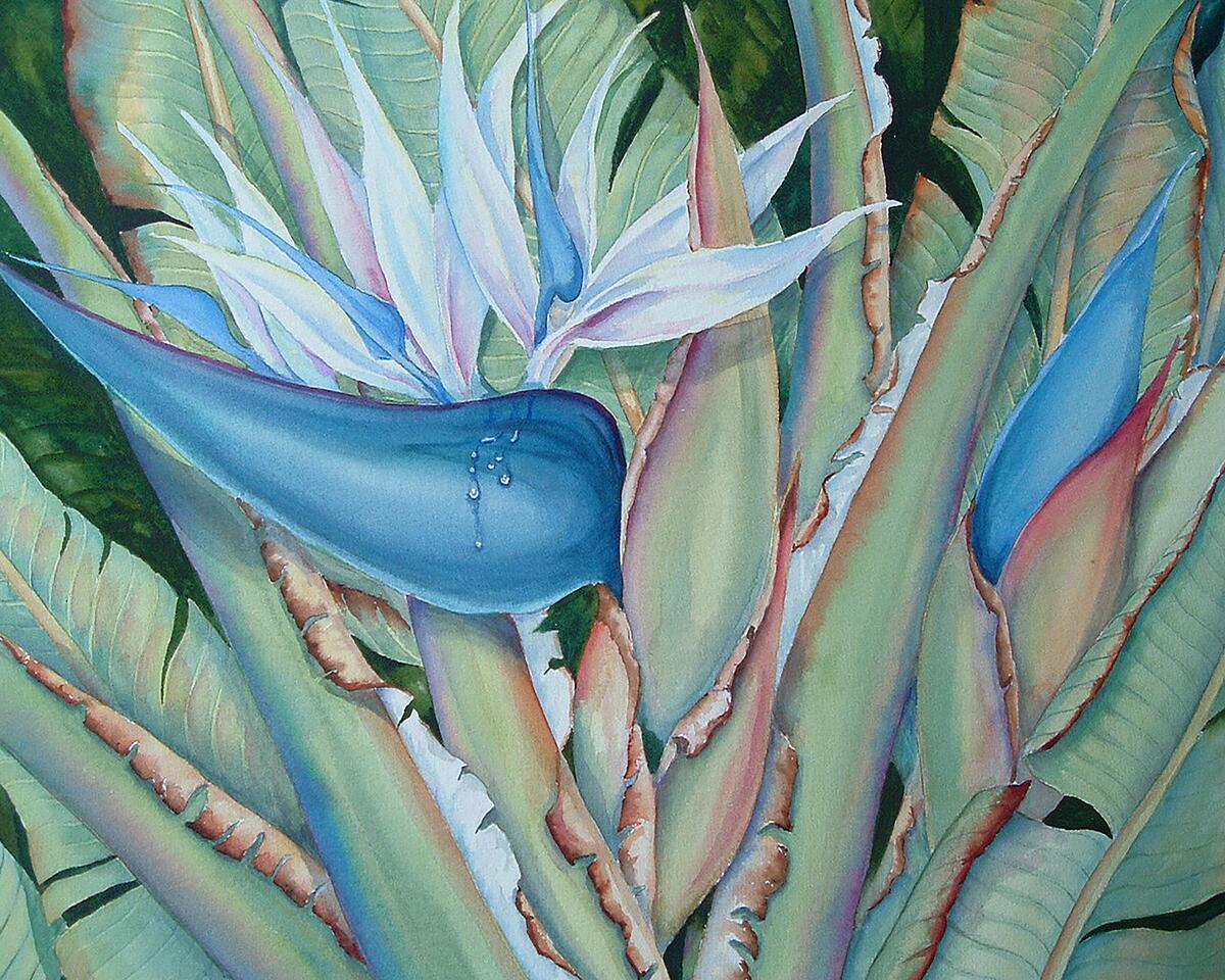 Ceramic Backsplash Tile Mural Floral Kitchen/Bathroom – Tropical Beauty
