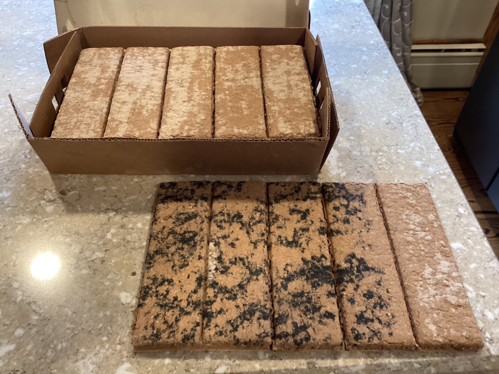Vintage INCA Antique Standard Old Chicago Facing Brick Z-Brick 25 Bricks