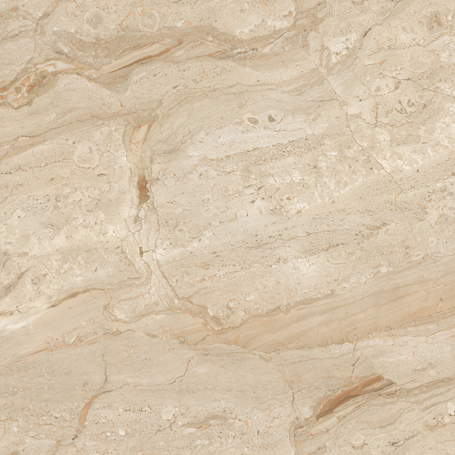 My Luxury Flooring MK GLOSSY Endmatch 37 Porcelain Tiles – 24×48 In Light Beige