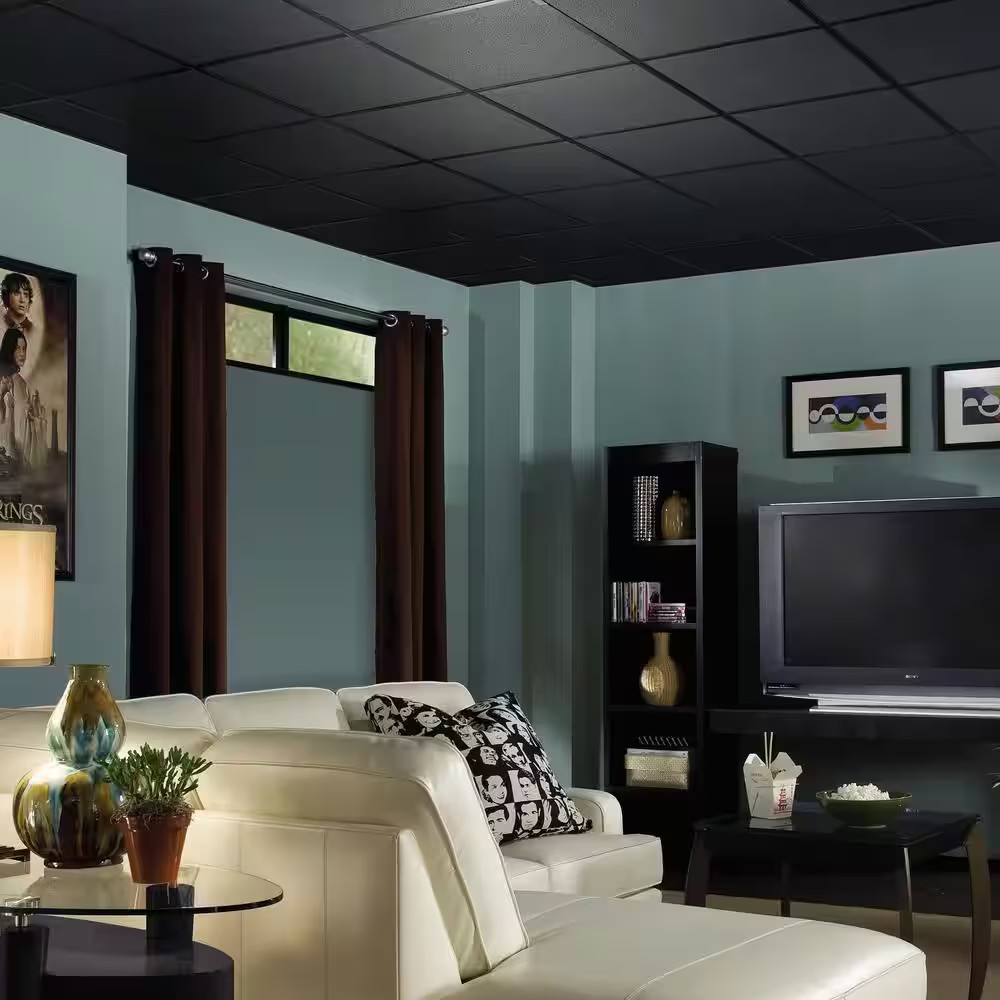Fine Fissured Black 2 Ft. X 2 Ft. Lay-In Ceiling Tile (64 Sq. Ft. / Case)