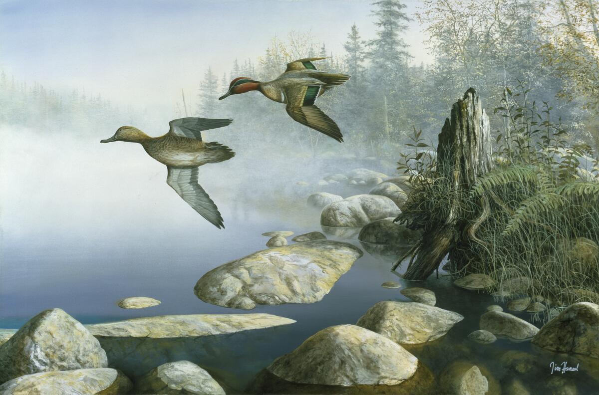 Ceramic Backsplash Tile Mural Waterfowl Bird Kitchen/Bathroom – Waters Edge