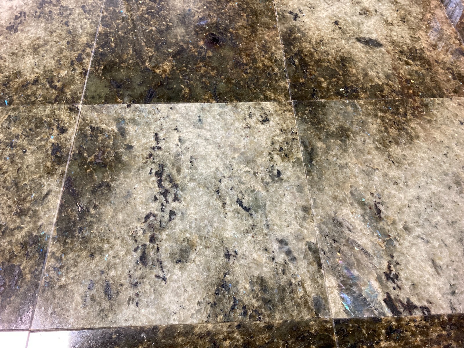12×12 Tile Sea Coral Green Stone Granite Wall Floor Shower (50 Square Feet)T-99