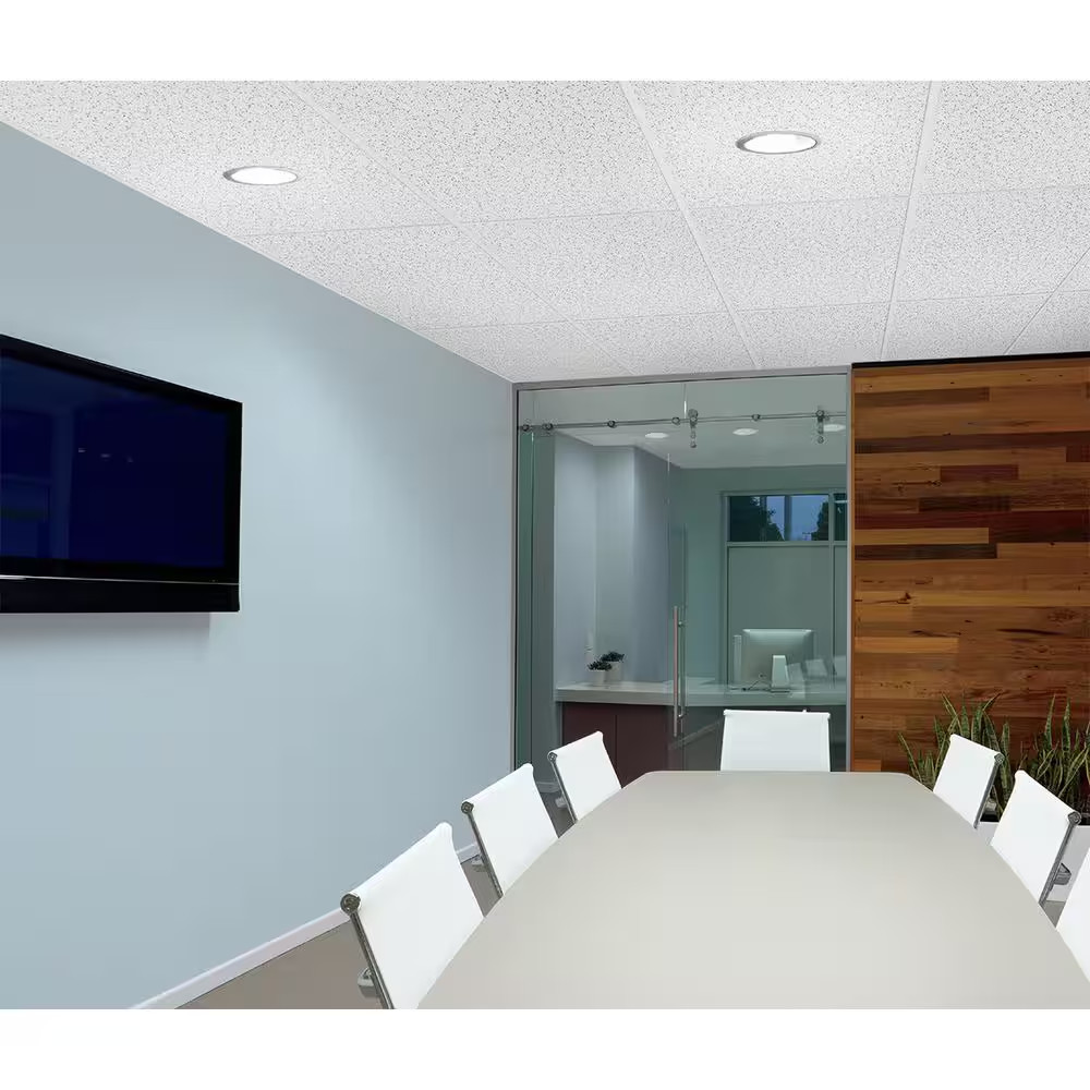 Random Textured 2 Ft. X 4 Ft. Lay-In Ceiling Tile (1,120 Sq. Ft./Pallet) Free Sh