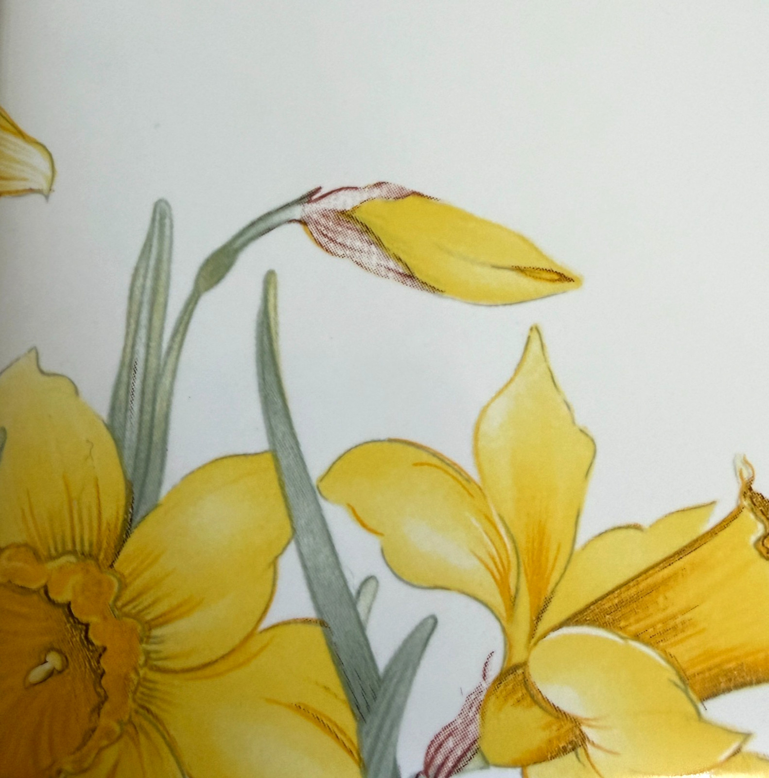 Vintage Yellow Daffodils Tile Mural Set 4 on White USA Wildflower Garden