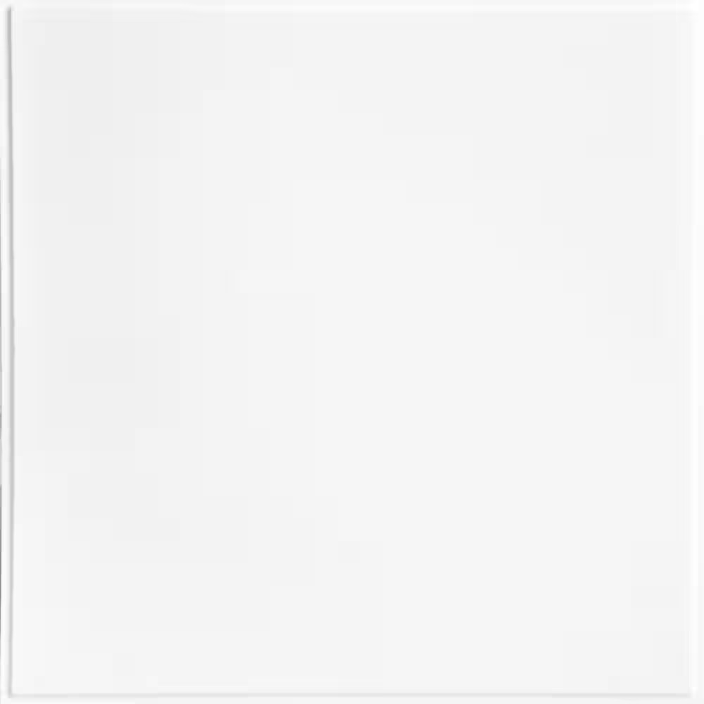 Smooth Economy 2 Ft. X 2 Ft. Revealed Edge Lay-In Ceiling Tile in Gloss White (