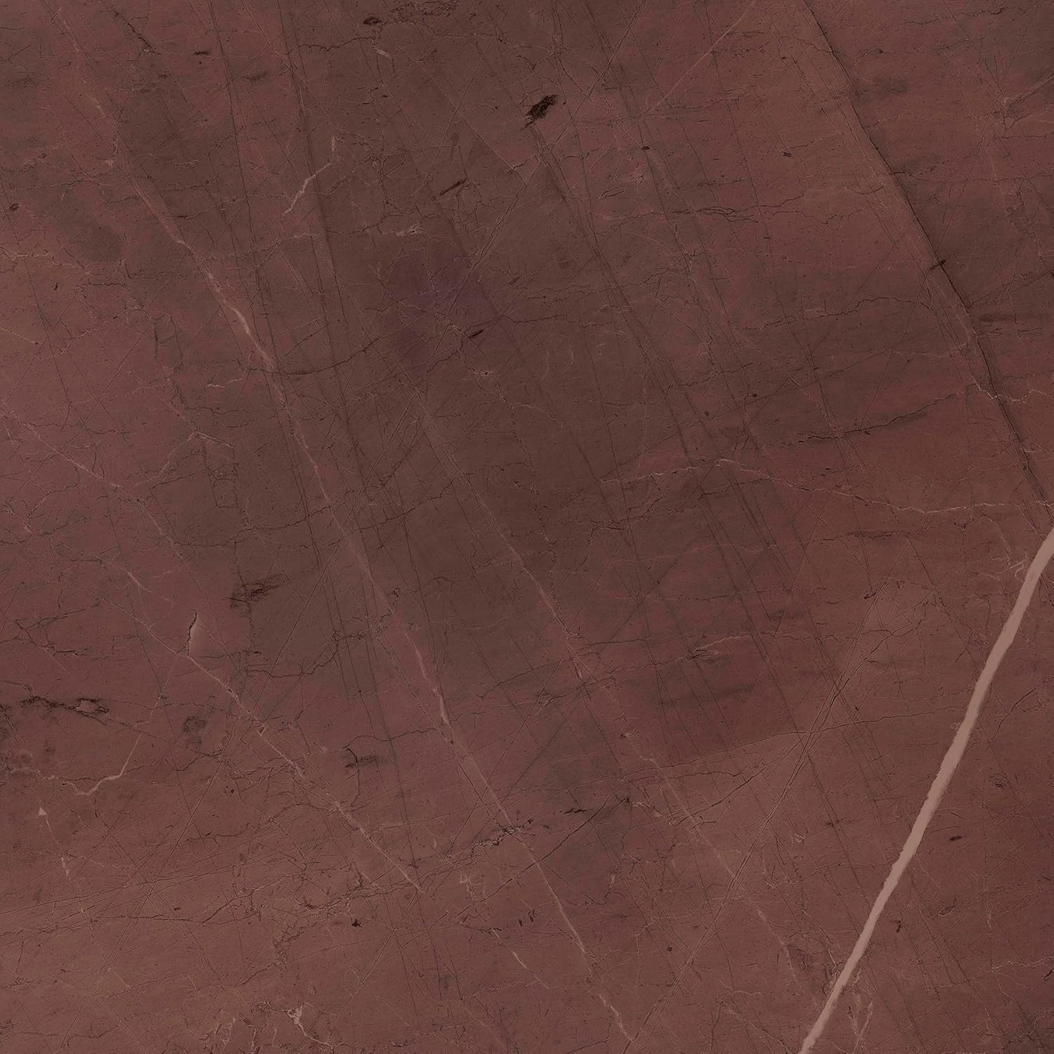 X Chris Loves Julia Bonneville Oxblood Peel and Stick Floor Tiles