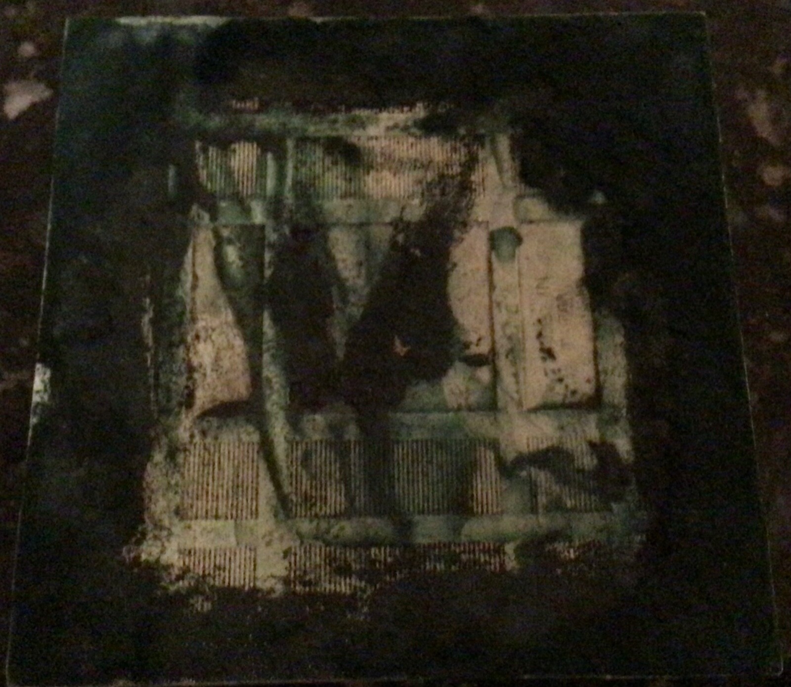 Fox Head Ceramic Tile or Hot Plate