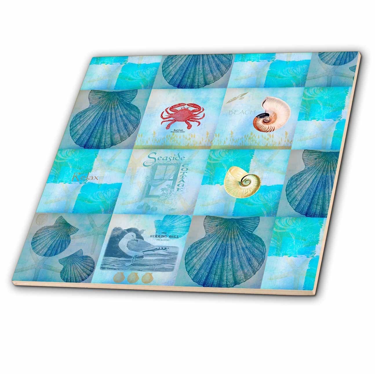 3dRose ct_79384_1 Aqua Beach Seashell Collage Art Ceramic Tile, 4″