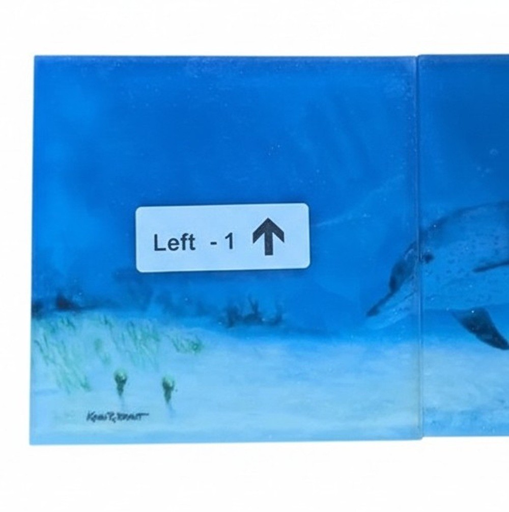 Reflective Expressions Waterline Pool Tile Porpoise Dolphin 6 x 24 Kevin R Brant