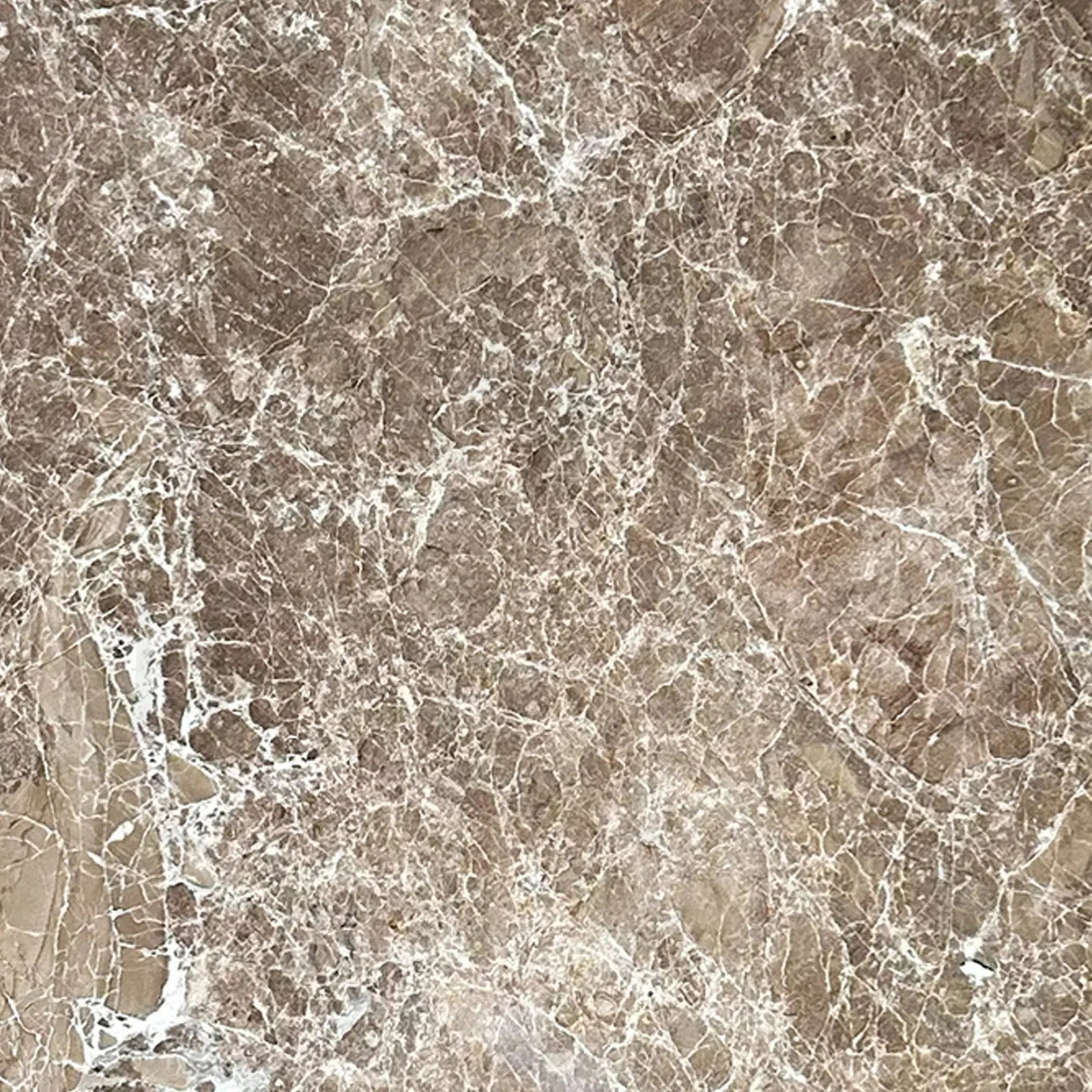 Emperador Light Marble 12X24 Polished Tile 150 Sq.Ft. $7.99/Sq.Ft.