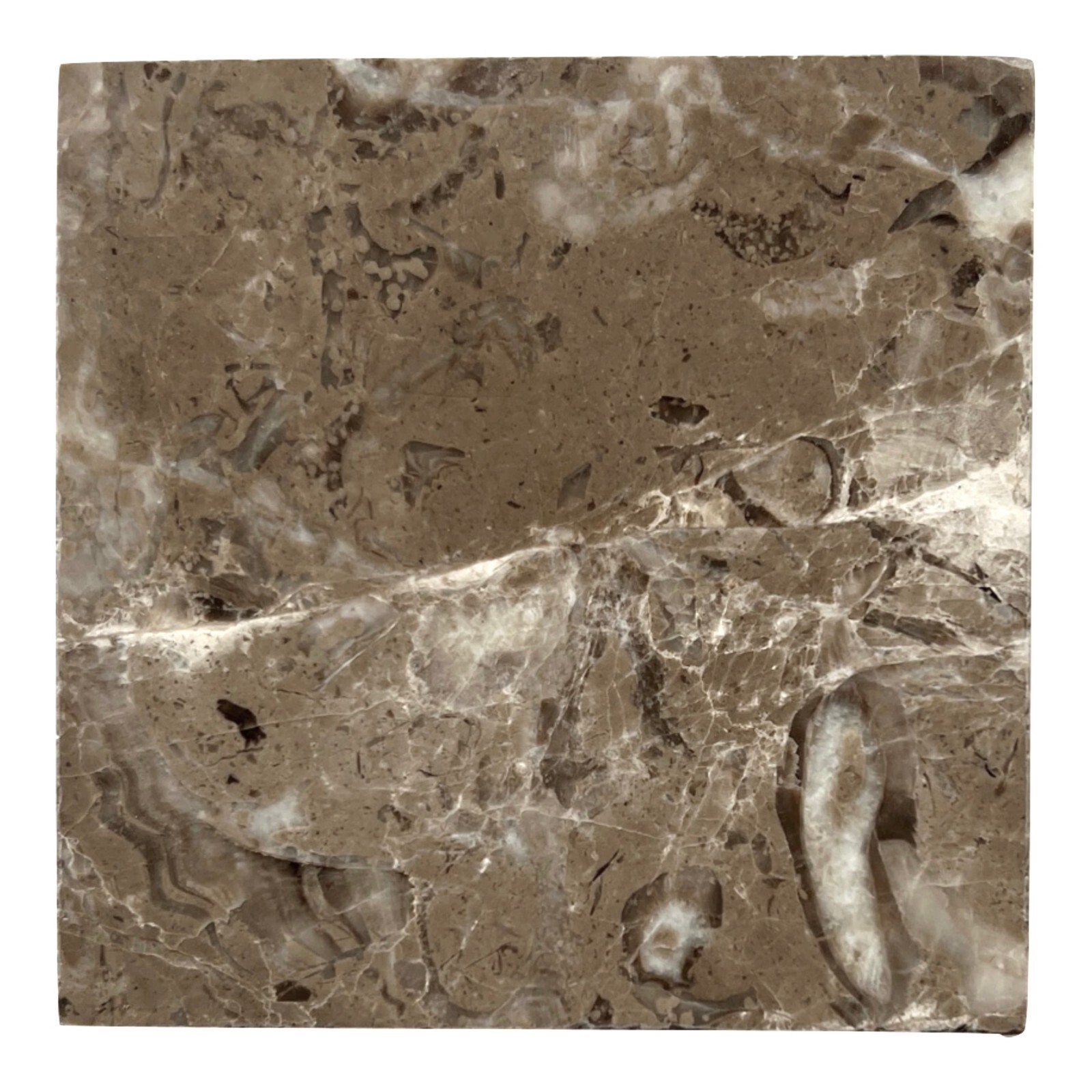 Fossil Brown 4×4 Polished Marble Floor Wall Tile Kitchen – Drink Coaster