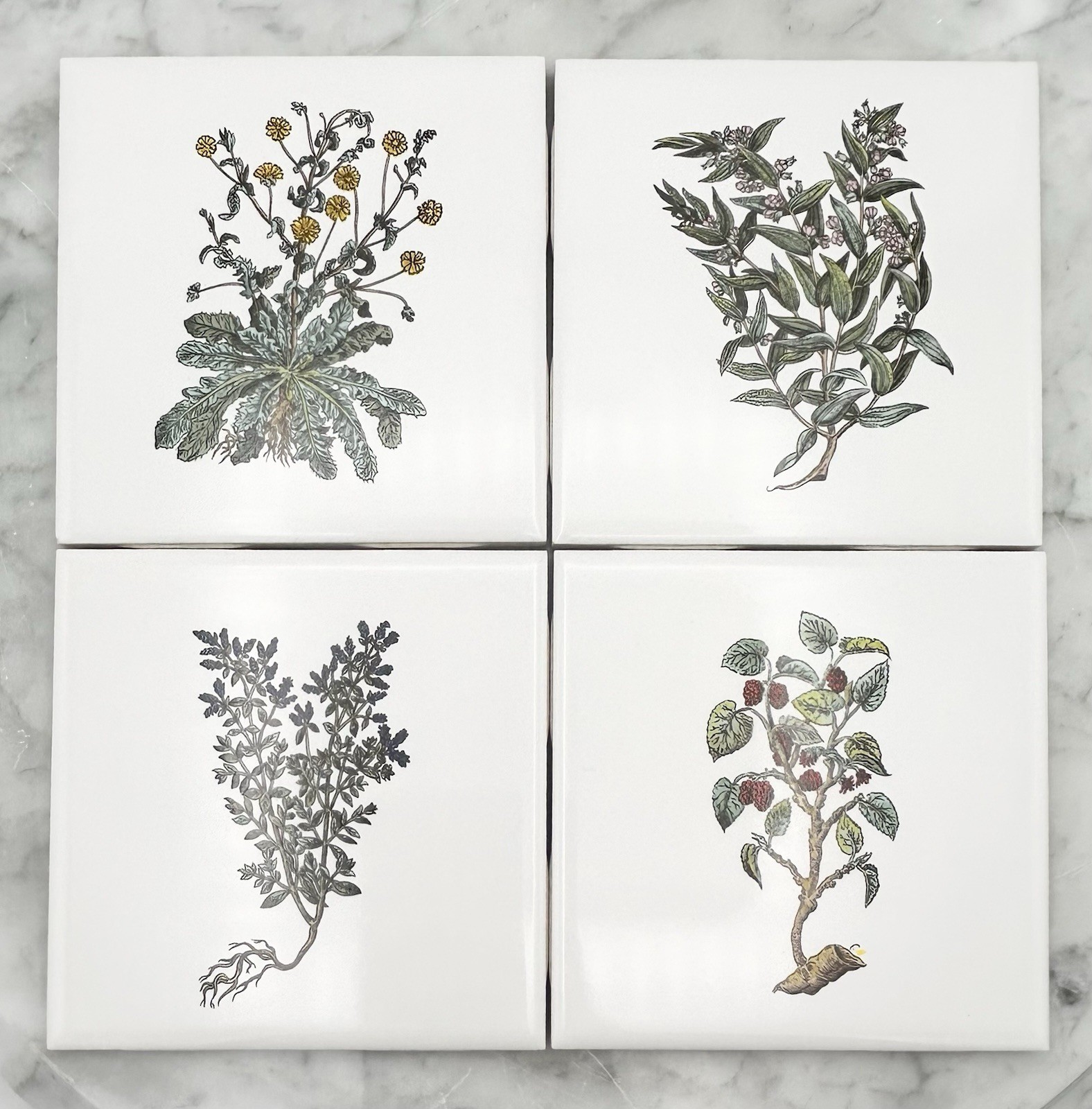Vintage Floral Tile Mid-State/Mannington MCT 4 3/8″ White Plant Accent Set Of 4