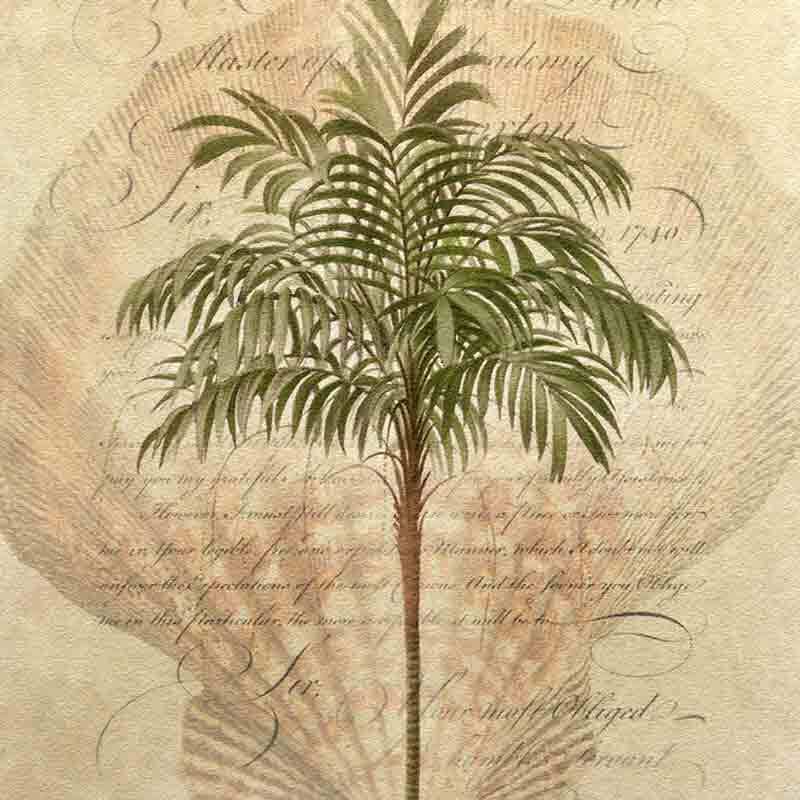Palm Tree Glass Wall Floor Tile Backsplash Steve Hunziker Art OB-SH914AT