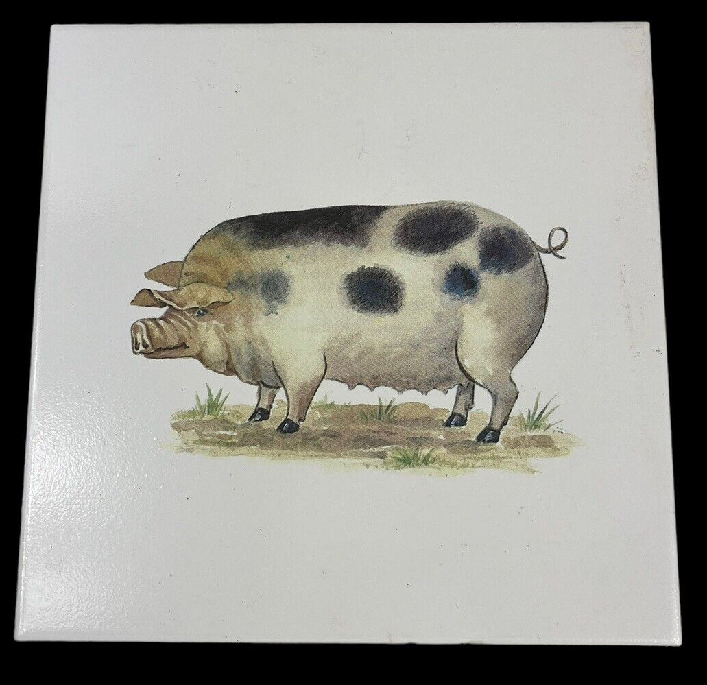 New Pig Tile 8×8 Decorative Trivet Hot Plate Art Ceramic Farmhouse Sow White