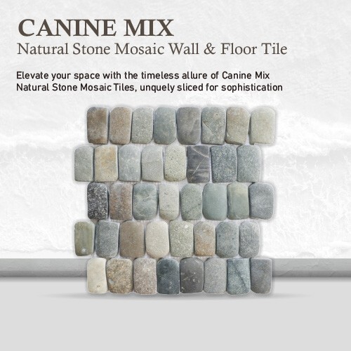 Canine Mix Natural Stone Mosaic Wall & Floor Tile ($17.01/SqFt)