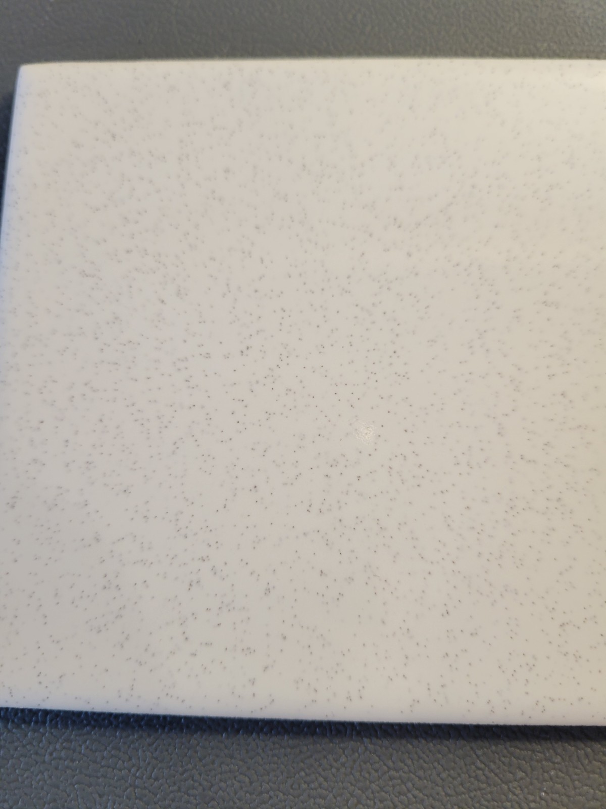 1 Tile FT Florida USA 4-3/8″ Gloss Black White Speckled Tile Salt & Pepper