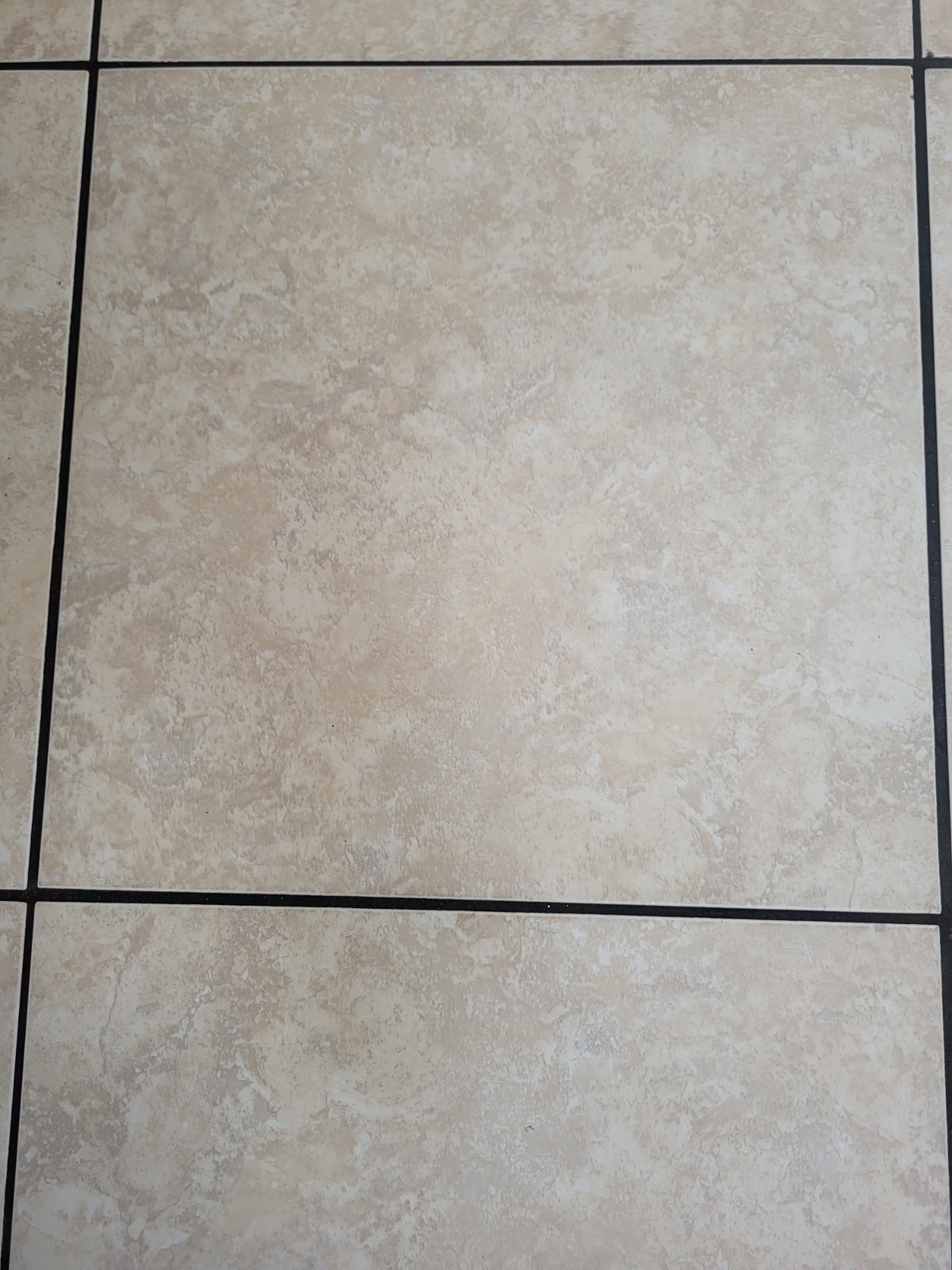 Laufen Cream Ceramic Tile 16X16