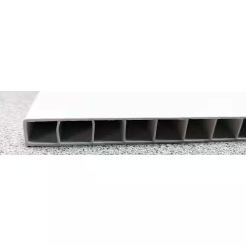 2 Ft. X 4 Ft. Lay-In Plastic Ceiling Panel (32 Sq. Ft. / Case)