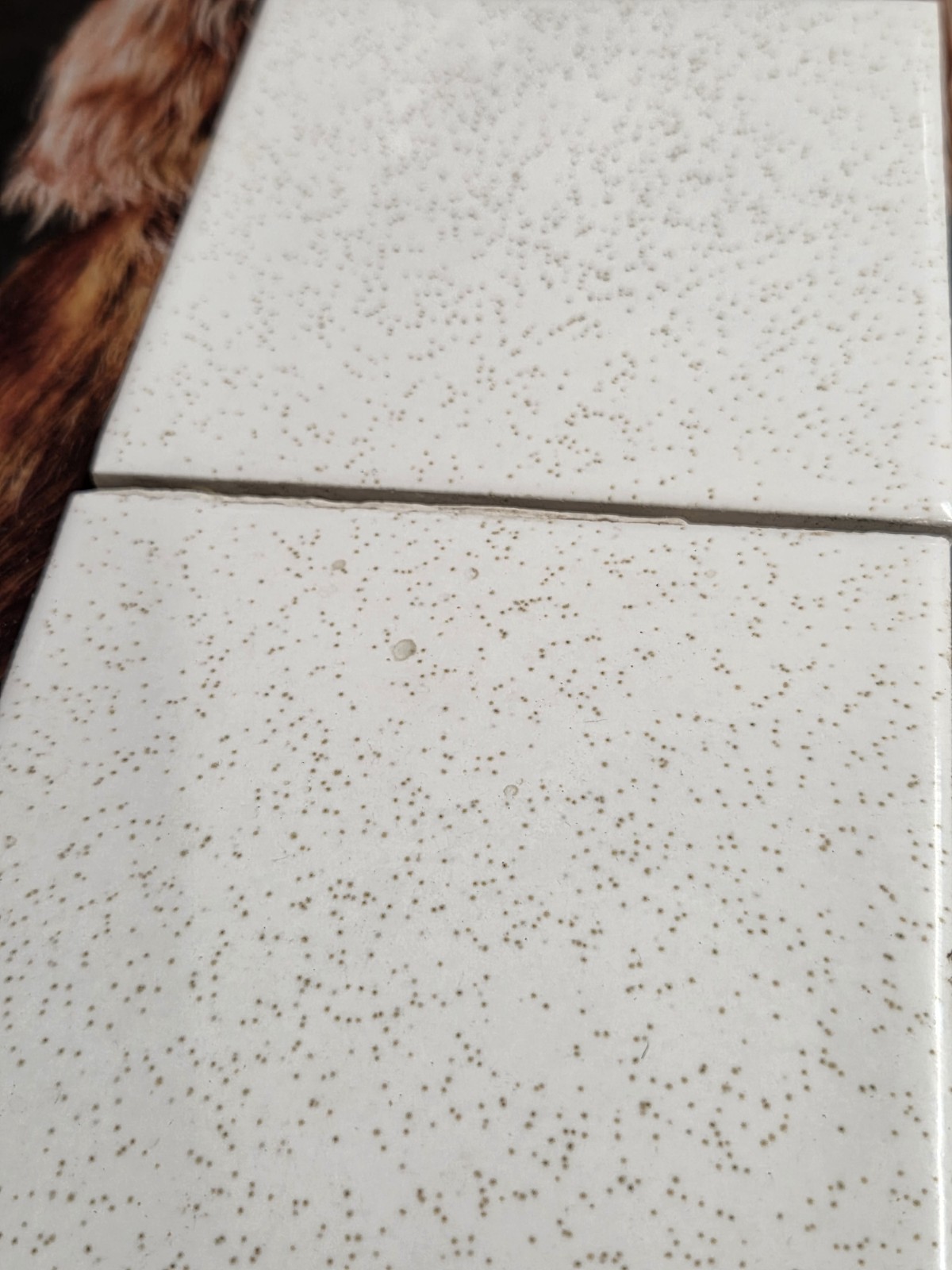 4 Vtg WENCZEL Wenzel Tile 4×4 Gold Dust 86 43 Ivory Beige Gold Yellow Flecks
