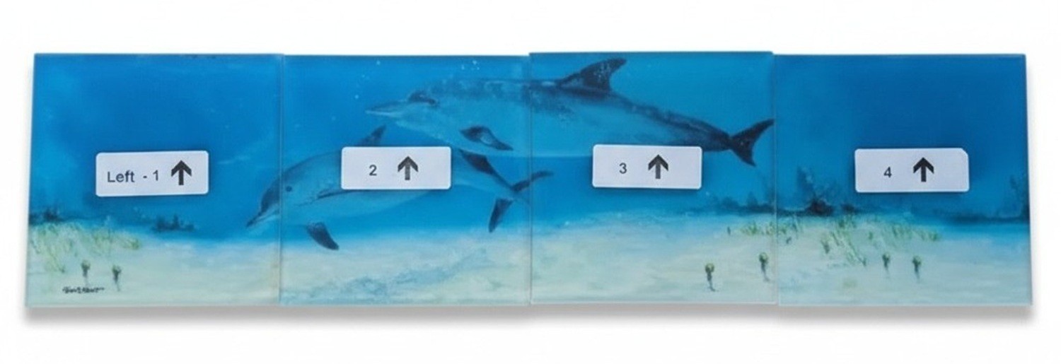 Reflective Expressions Waterline Pool Tile Porpoise Dolphin 6 x 24 Kevin R Brant